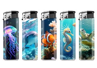 B.50 Briquets Sea world