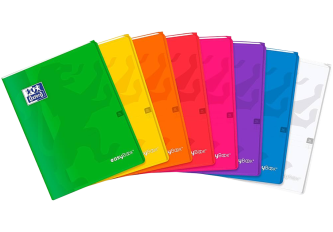 Cahier EasyBook 24x32cm Grands Carreaux Seyès 96 Pages