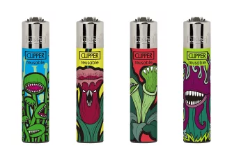 B.48 Clipper micro Carnivorous Plants