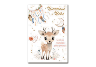 P.6 Carnets de Naissance