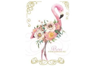 P.6 Carnets anniversaire femme