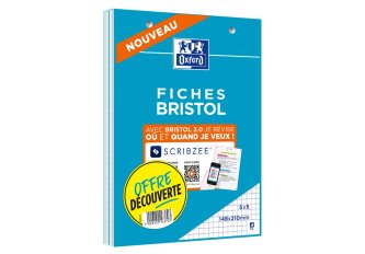 L.2 Blocs 30 fiches Bristol perforées