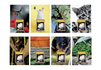 Plaque seule pour éphéméride - 17 x 25 cm