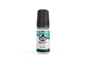 1X10ML Salt E-Vapor Ice Mint 20mg