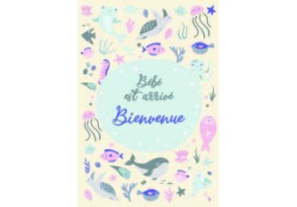 P.6 Carnets de Naissance