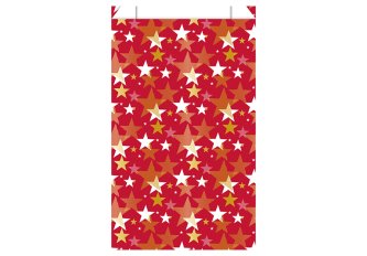 B.250 Sacs 12x4.5x20cm Etoile double