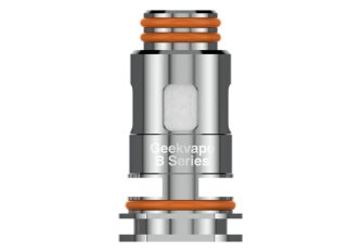 B.5 Geek Vape Résistance B Series 0.2Ω