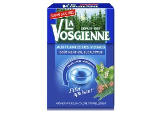 B.20 Etuis Vosges Menthe eucalyptus 49g